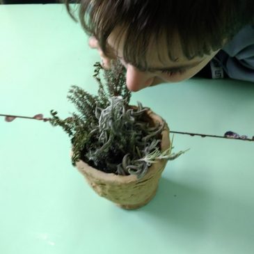 Egészséges életmód foglalkozás – Fűszernövények