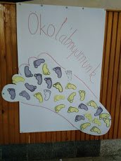 Egészséges életmód foglalkozás – Ökolábnyom