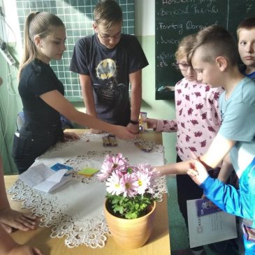 Találkozó Telki 2019. Október